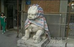 你们考虑过狮子的感受吗