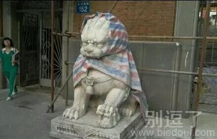 你们考虑过狮子的感受吗 你们考虑过狮子的感受吗