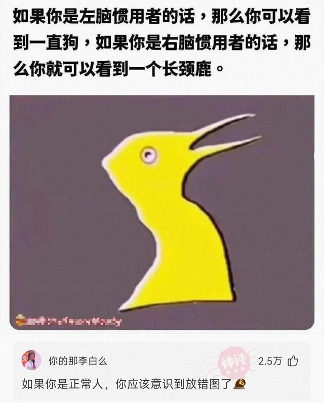 沙雕网友日常:头一次听说出轨还先铺轨的 沙雕网友日常:头一次听说出轨还先铺轨的