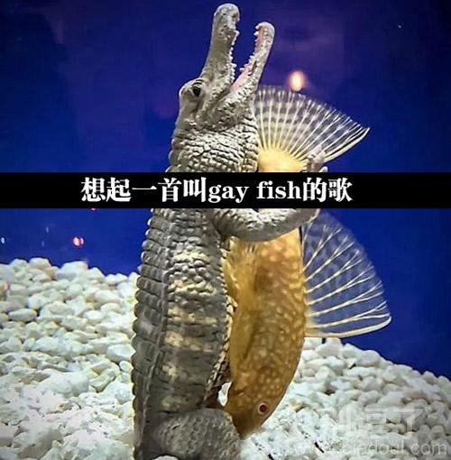 相互依赖,互惠互利!哈哈 相互依赖,互惠互利!哈哈