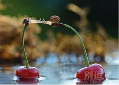 世界上最远的距离莫过于此，蜗牛的爱情