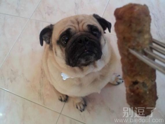 吃吗？馋死你哦可怜