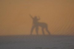 爆笑的影子 爆笑的影子