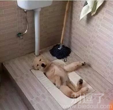 这样洗澡刚刚好吧