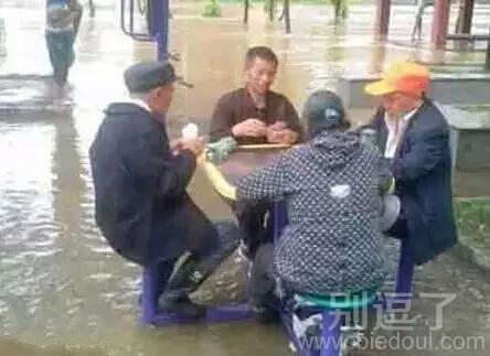 真的是尽职尽责呀 真的是尽职尽责呀