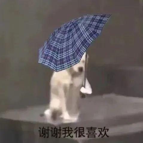 “女友生气了该怎么哄?”在线求助兄弟这招...说得很好,已经是前女友了! “女友生气了该怎么哄?”在线求助兄弟这招...说得很好,已经是前女友了!