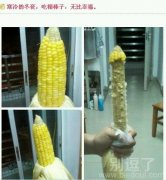 冬天最幸福的时刻。 冬天最幸福的时刻。
