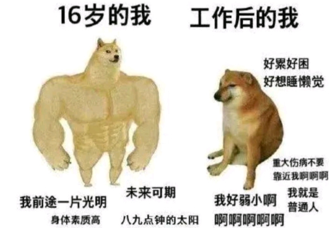 搞笑趣图:为什么女生能够比男生活得久?一张图告诉你 搞笑趣图:为什么女生能够比男生活得久?一张图告诉你