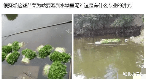 “小卖部老板说这是她珍藏20多年的宝贝,五元一把的价格合适不”,哈哈哈! “小卖部老板说这是她珍藏20多年的宝贝,五元一把的价格合适不”,哈哈哈!