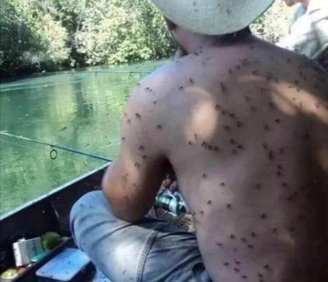 爆笑趣图：上班路上顺便接了个私活，美团外卖，干啥都快