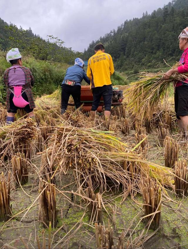 爆笑趣图：上班路上顺便接了个私活，美团外卖，干啥都快