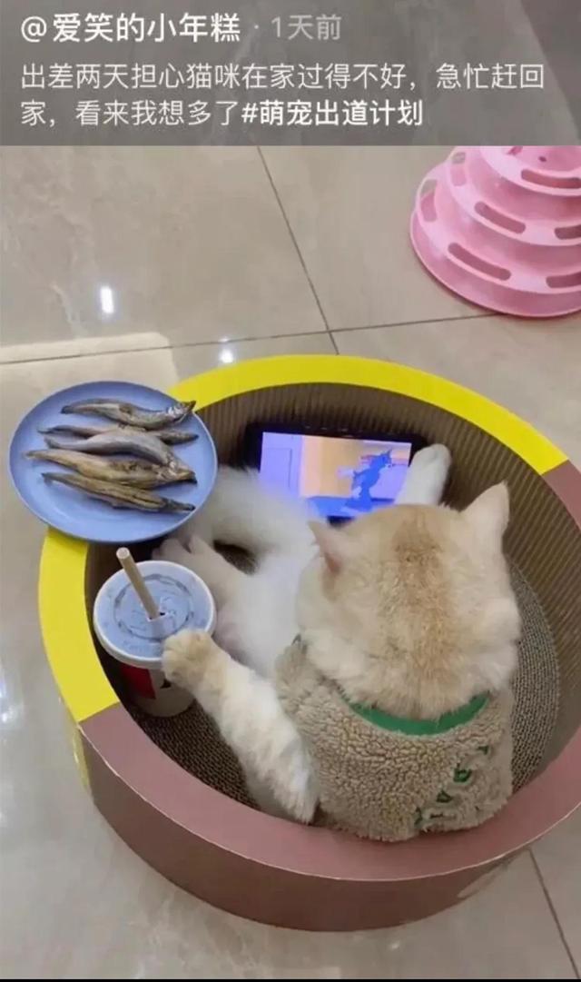 爆笑趣图：上班路上顺便接了个私活，美团外卖，干啥都快