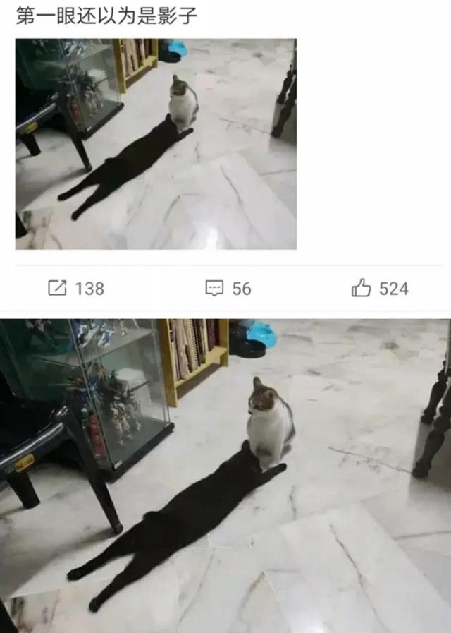 爆笑趣图：上班路上顺便接了个私活，美团外卖，干啥都快