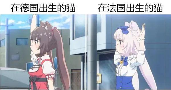 “用鲁迅的口吻写检讨书?”哈哈哈哈老师:那你走 “用鲁迅的口吻写检讨书?”哈哈哈哈老师:那你走