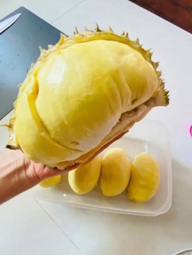 “用鲁迅的口吻写检讨书?”哈哈哈哈老师:那你走 “用鲁迅的口吻写检讨书?”哈哈哈哈老师:那你走