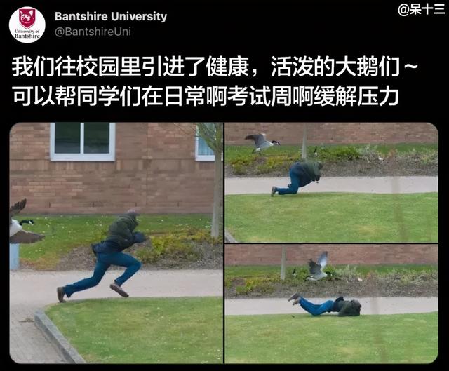 “用鲁迅的口吻写检讨书?”哈哈哈哈老师:那你走 “用鲁迅的口吻写检讨书?”哈哈哈哈老师:那你走