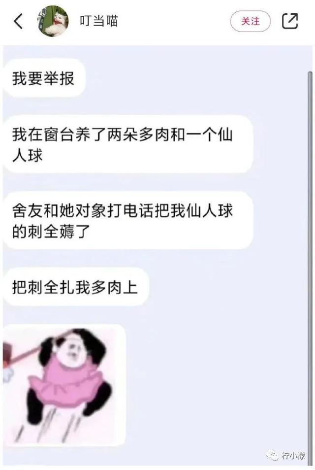 当你在学校剪了个明星同款的发型后....网友经历笑到窜稀哈哈哈哈 当你在学校剪了个明星同款的发型后....网友经历笑到窜稀哈哈哈哈