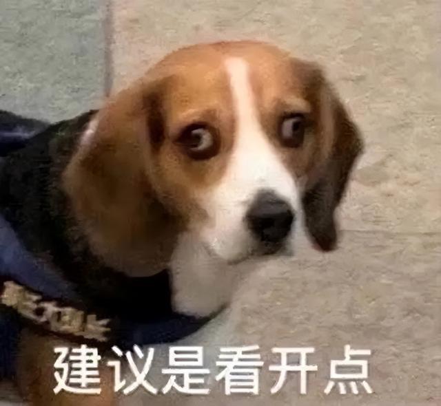 当你在学校剪了个明星同款的发型后....网友经历笑到窜稀哈哈哈哈 当你在学校剪了个明星同款的发型后....网友经历笑到窜稀哈哈哈哈