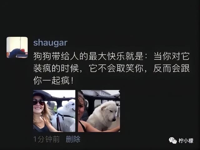 当你在学校剪了个明星同款的发型后....网友经历笑到窜稀哈哈哈哈 当你在学校剪了个明星同款的发型后....网友经历笑到窜稀哈哈哈哈
