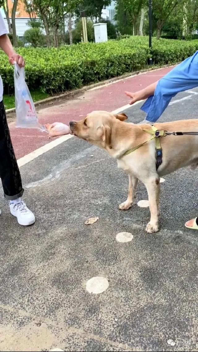 当你在学校剪了个明星同款的发型后....网友经历笑到窜稀哈哈哈哈 当你在学校剪了个明星同款的发型后....网友经历笑到窜稀哈哈哈哈