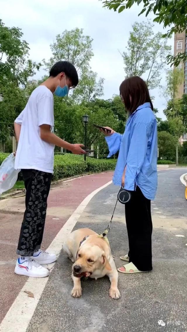 当你在学校剪了个明星同款的发型后....网友经历笑到窜稀哈哈哈哈 当你在学校剪了个明星同款的发型后....网友经历笑到窜稀哈哈哈哈