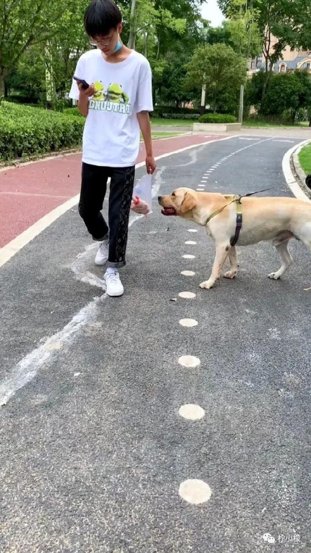 当你在学校剪了个明星同款的发型后....网友经历笑到窜稀哈哈哈哈 当你在学校剪了个明星同款的发型后....网友经历笑到窜稀哈哈哈哈