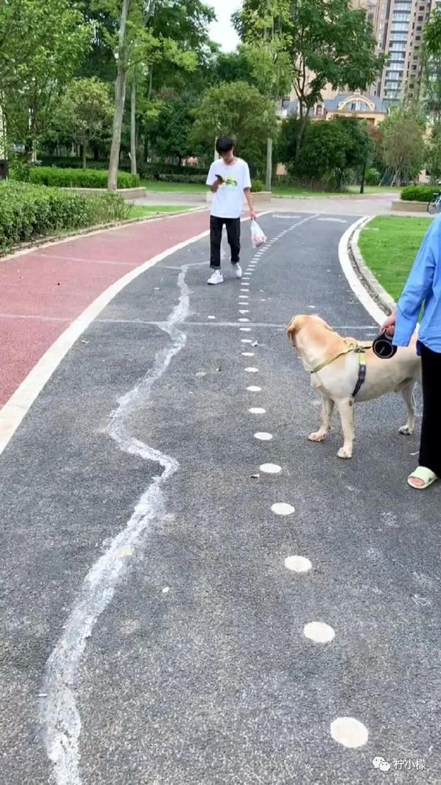 当你在学校剪了个明星同款的发型后....网友经历笑到窜稀哈哈哈哈 当你在学校剪了个明星同款的发型后....网友经历笑到窜稀哈哈哈哈