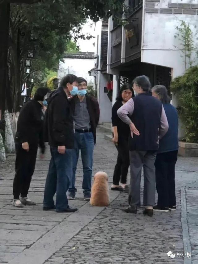 当你在学校剪了个明星同款的发型后....网友经历笑到窜稀哈哈哈哈 当你在学校剪了个明星同款的发型后....网友经历笑到窜稀哈哈哈哈