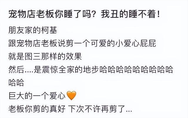 当你在学校剪了个明星同款的发型后....网友经历笑到窜稀哈哈哈哈 当你在学校剪了个明星同款的发型后....网友经历笑到窜稀哈哈哈哈