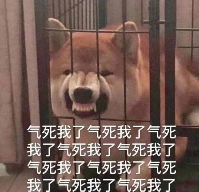 当你在学校剪了个明星同款的发型后....网友经历笑到窜稀哈哈哈哈 当你在学校剪了个明星同款的发型后....网友经历笑到窜稀哈哈哈哈