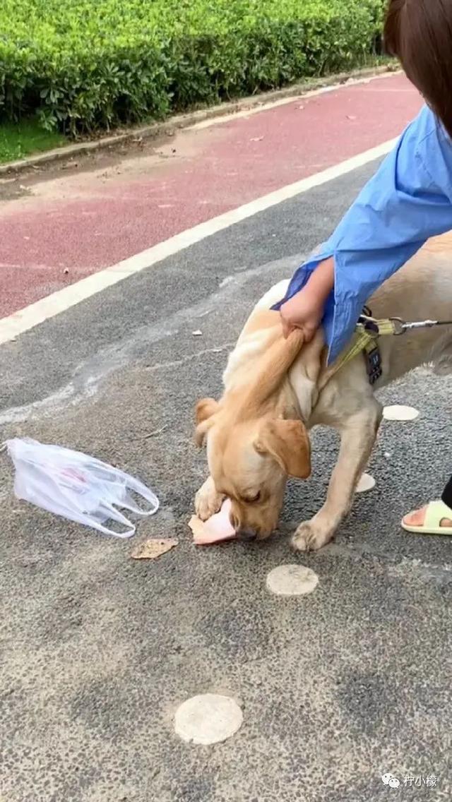 当你在学校剪了个明星同款的发型后....网友经历笑到窜稀哈哈哈哈 当你在学校剪了个明星同款的发型后....网友经历笑到窜稀哈哈哈哈