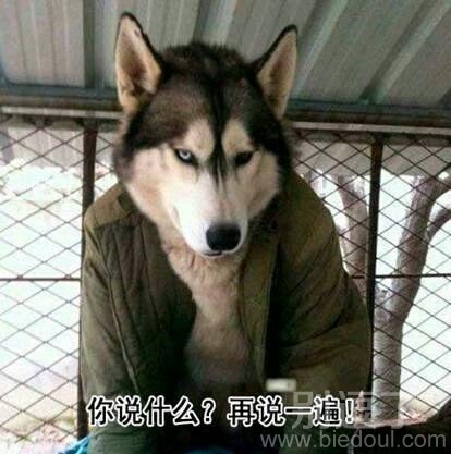 你说什么，再说一遍