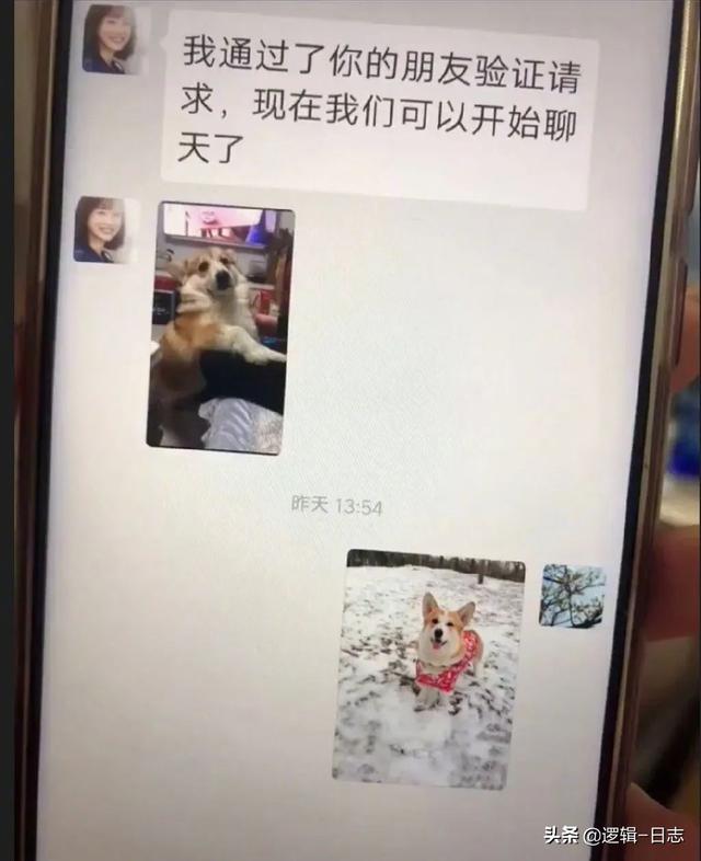 笑不活,社牛也救不起的线上相亲 笑不活,社牛也救不起的线上相亲