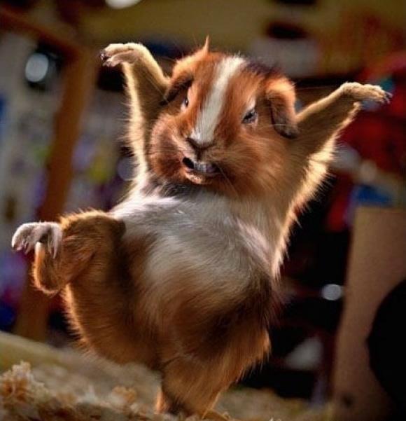 看我金鸡独立。。 看我金鸡独立。。