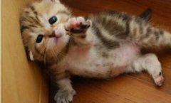 求你别走。。。。 求你别走。。。。