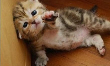 求你别走。。。。