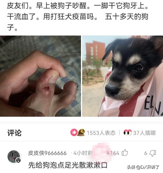 神评论：什么行业可以让普通人翻身？哈哈