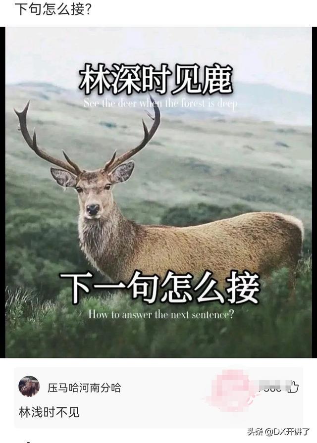 神评论:什么行业可以让普通人翻身?哈哈 神评论:什么行业可以让普通人翻身?哈哈