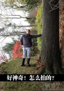 这也太高难度了吧 这也太高难度了吧