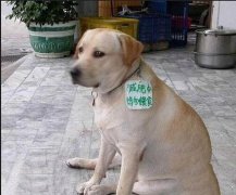 小表情,太忧桑了 小表情,太忧桑了