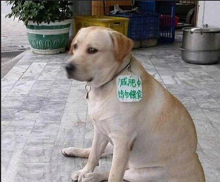 小表情,太忧桑了 小表情,太忧桑了