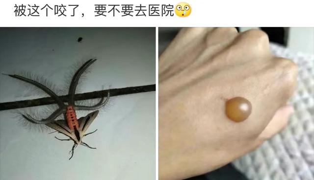 当年我妈这个打扮挺潮的,网友:你爸的苹果耳机也不错啊 当年我妈这个打扮挺潮的,网友:你爸的苹果耳机也不错啊