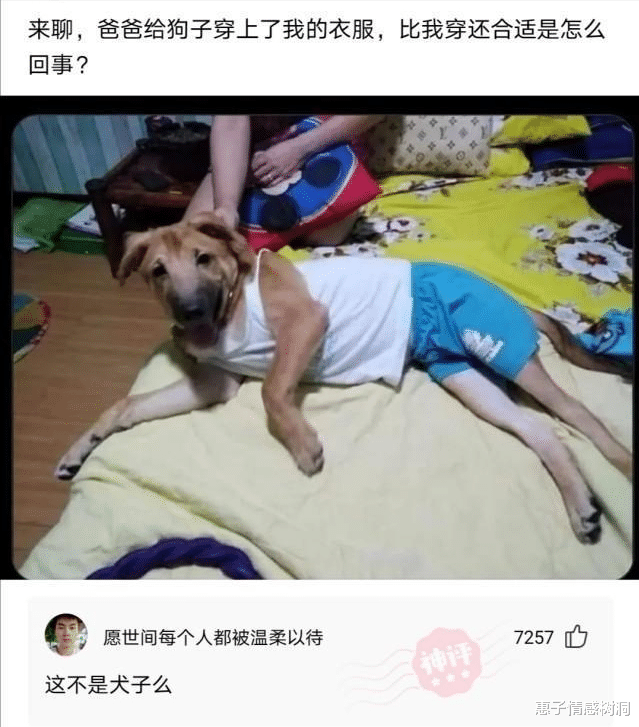 神回复:在厂里干了四个月,星期六一天没去罚了我五百,班长给我开的罚单 神回复:在厂里干了四个月,星期六一天没去罚了我五百,班长给我开的罚单