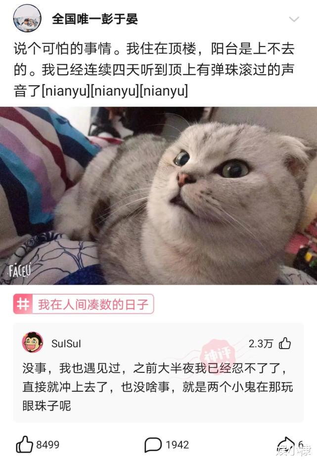 神回复:朋友们,翻开了弟弟的浏览记录,我该怎么办? 神回复:朋友们,翻开了弟弟的浏览记录,我该怎么办?