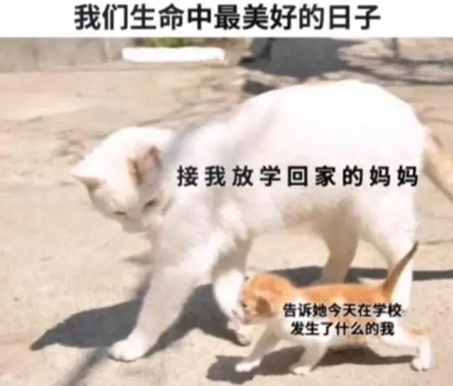 神评论:接吻时让女生最恶心的事是什么? 神评论:接吻时让女生最恶心的事是什么?