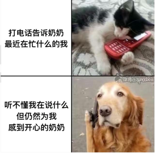 神评论:接吻时让女生最恶心的事是什么? 神评论:接吻时让女生最恶心的事是什么?