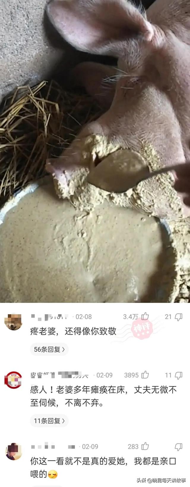 神回复:满汉全席1088道菜,但是中间那么远怎么吃?神评绝了 神回复:满汉全席1088道菜,但是中间那么远怎么吃?神评绝了