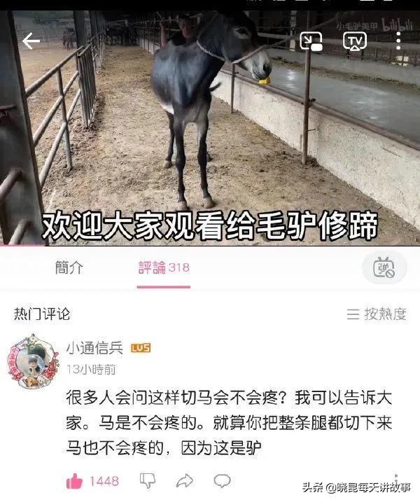 神回复:满汉全席1088道菜,但是中间那么远怎么吃?神评绝了 神回复:满汉全席1088道菜,但是中间那么远怎么吃?神评绝了