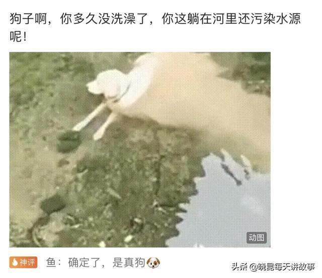 神回复:满汉全席1088道菜,但是中间那么远怎么吃?神评绝了 神回复:满汉全席1088道菜,但是中间那么远怎么吃?神评绝了