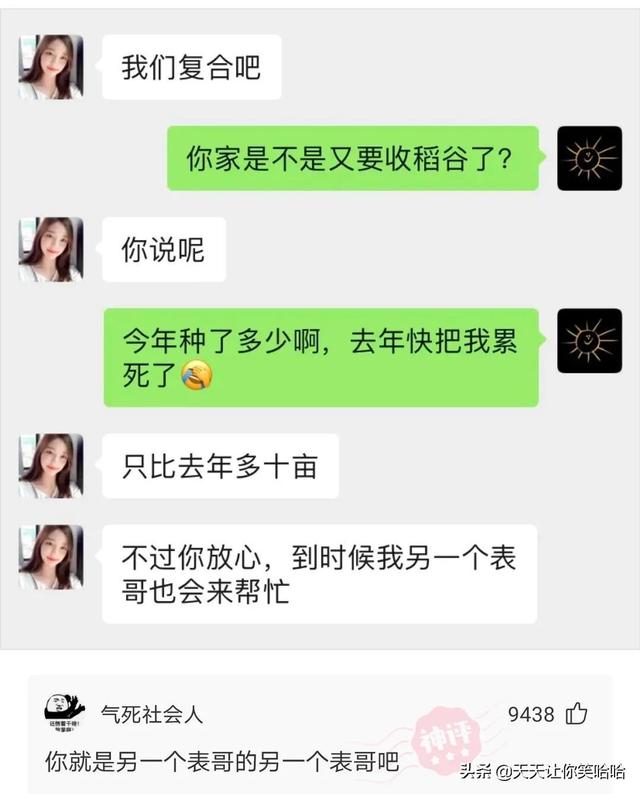 爆笑神评:相貌平平的985女学霸,颜值出众的女学渣,该怎么选? 爆笑神评:相貌平平的985女学霸,颜值出众的女学渣,该怎么选?